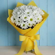 Букет цветов из:  Хризантемы в Вологде