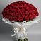 Букет 101 Красная роза Блэк Мэджик в Вологде