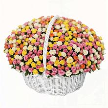 Премиум букет из: Розы в Вологде