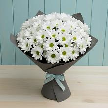 Букет цветов из:  Хризантемы #REPLACE_PRED# Вологде