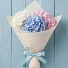 Букет цветов из:  Гортензия в Вологде