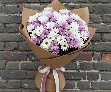 Букет цветов из:  Хризантемы #REPLACE_PRED# Вологде