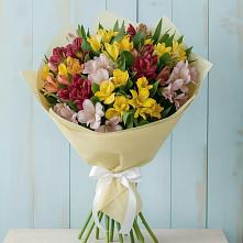 Букет цветов из:  Альстромерии в Вологде