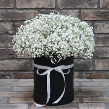 Цветочная композиция из Гипсофила в шляпной коробке в Вологде