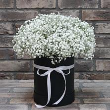Цветочная композиция из Гипсофила в шляпной коробке в Вологде