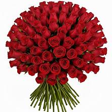 Букет Красные розы Чери Лав #REPLACE_PRED# Вологде