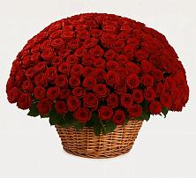 Премиум букет из: Розы #REPLACE_PRED# Вологде