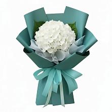 Букет цветов из:  Гортензия в Вологде